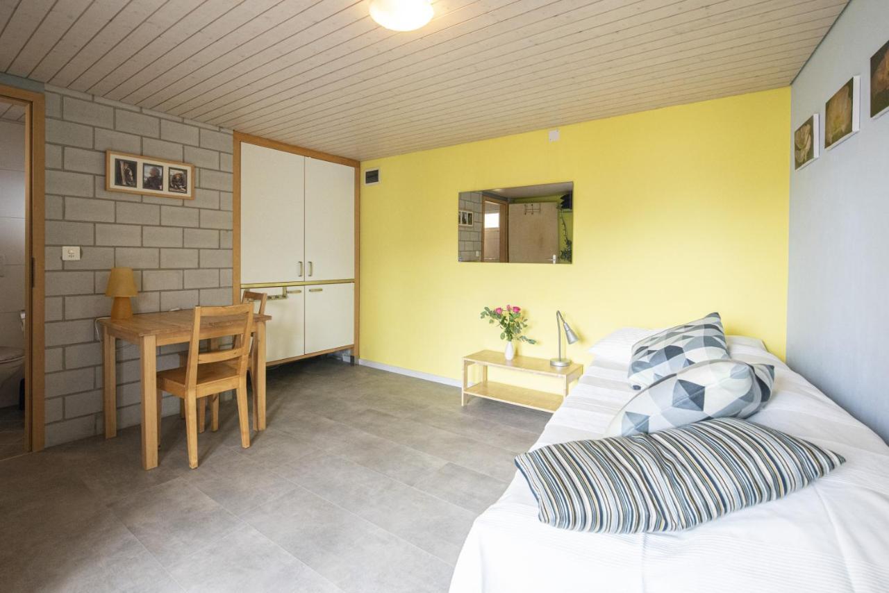 Casa Eva Apartment Ronco sopra Ascona Ngoại thất bức ảnh