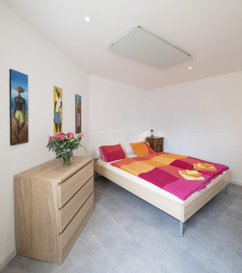 Casa Eva Apartment Ronco sopra Ascona Phòng bức ảnh