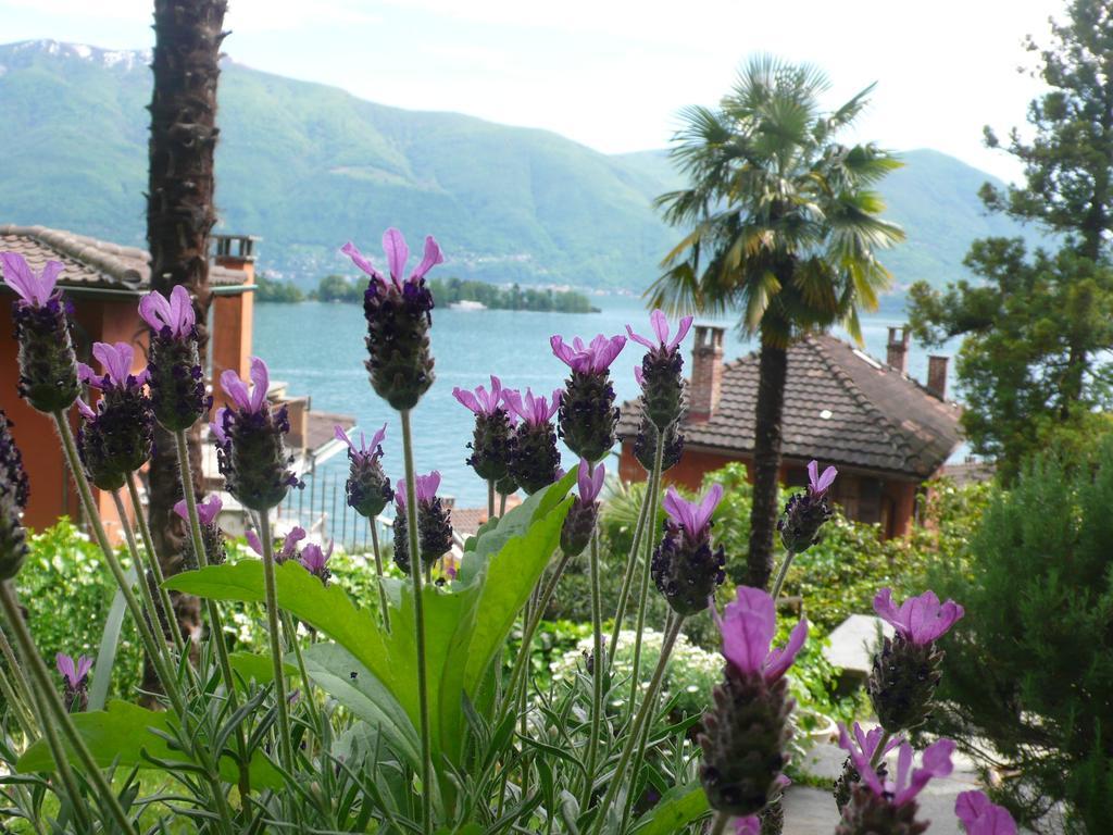 Casa Eva Apartment Ronco sopra Ascona Ngoại thất bức ảnh
